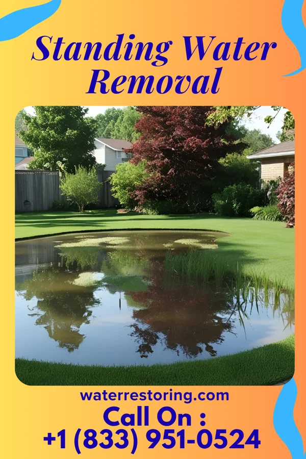Standing Water Removal in Redwood City, CA